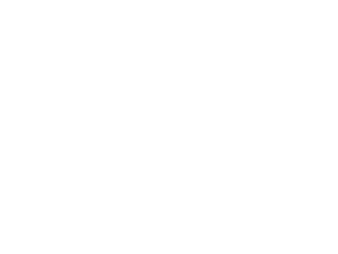 개발 언어 DB